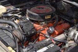 DSC_4830.jpg