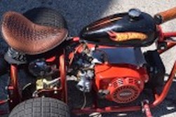 DSC_4849.jpg