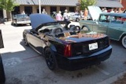 DSC_4883.jpg