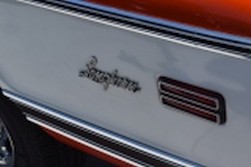 DSC_4892.jpg