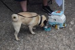 DSC_1914.jpg