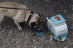 DSC_1915.jpg