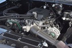 DSC_8014.jpg