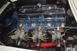 DSC_9131.jpg