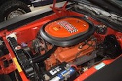 DSC_9174.jpg