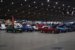 DSC_9237.jpg