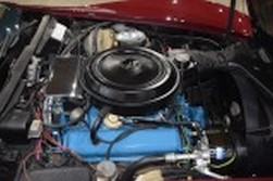 DSC_9274.jpg