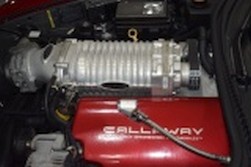 DSC_9296.jpg