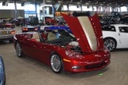 DSC_9300.jpg