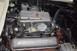 DSC_9307.jpg