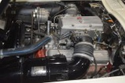 DSC_9308.jpg