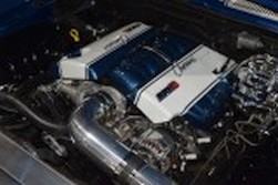 DSC_9319.jpg