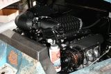 DSC_7324.JPG