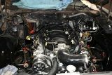 DSC_7735.JPG