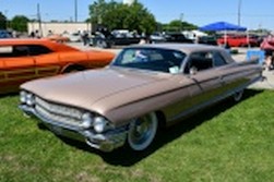 DSC_6558.jpg