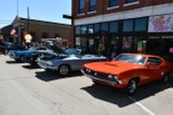 DSC_6695.jpg