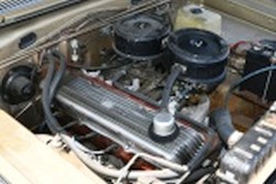 DSC_6724.jpg