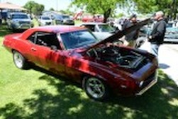 DSC_6732.jpg