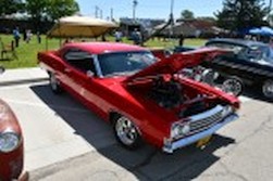 DSC_6769.jpg