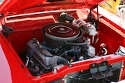 DSC_6770.jpg