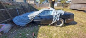 20241010_121252.jpg
