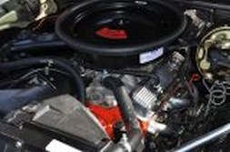 DSC_1559.jpg
