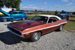 DSC_1561.jpg