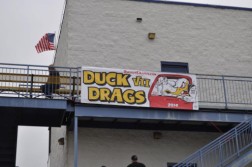 DSC_2279.jpg
