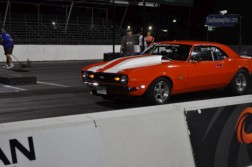 DSC_9505.jpg