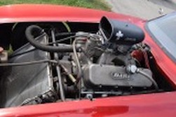 DSC_6483.jpg