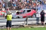 DSC_3379.jpg