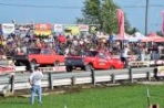 DSC_3493.jpg