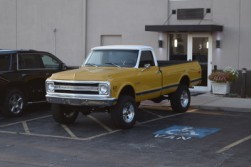 DSC_7208.jpg