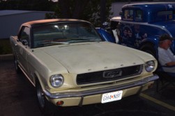DSC_7283.jpg