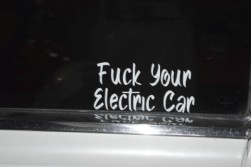 DSC_7313.jpg