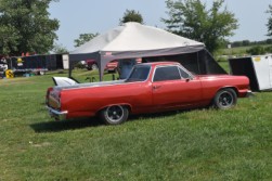 DSC_7347.jpg
