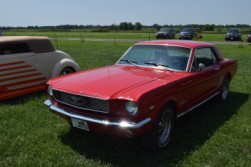 DSC_7585.jpg