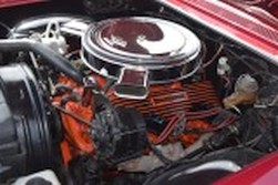 DSC_0517.jpg