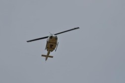 DSC_7161.jpg