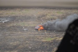 DSC_7203.jpg