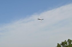DSC_9153.jpg