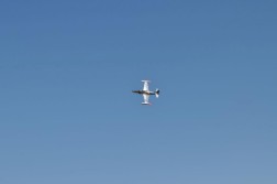 DSC_9154.jpg