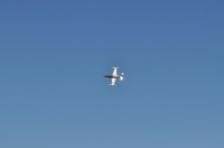 DSC_9155.jpg