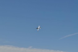 DSC_9156.jpg