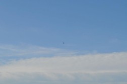 DSC_9157.jpg