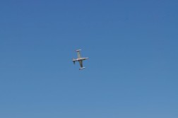 DSC_9161.jpg