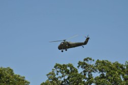 DSC_9397.jpg