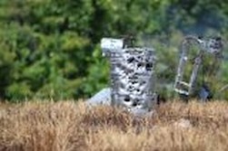DSC_4318.jpg