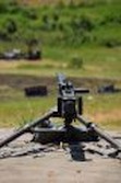 DSC_100037.jpg