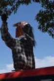 DSC_100062.jpg